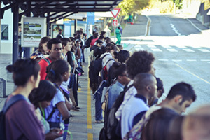 Hopeful: There were long queues at bus stops around campus as Jammie Shuttle drivers joined the national bus strike.