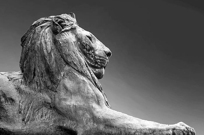 "Until the lion has its own storyteller, the hunter will always be the hero of the story." A bronze lion stationed at the Rhodes Memorial in Cape Town looks out over the city. <a href="http://commons.wikimedia.org/wiki/File:Lions,_Rhodes_Memorial,_Cape_Town.jpg" target="_blank">Photo by Kim Stone</a>, and accessed via Wikimedia Commons.