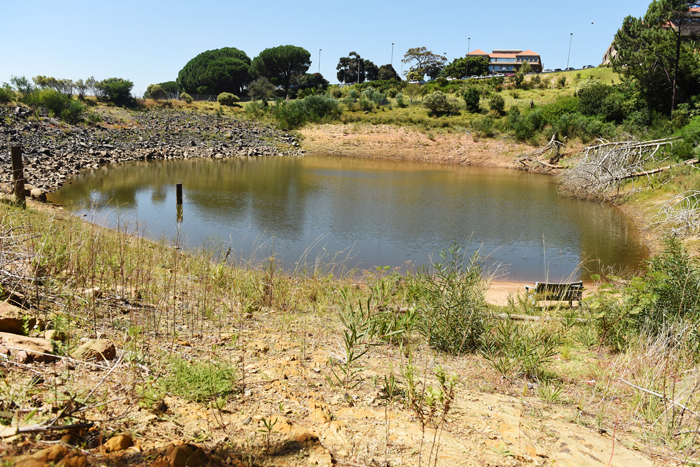 Low water levels in the reservoir on upper campus. Because of the size of campus, UCT has applied for temporary relief from the Level 3B water restrictions. Nonetheless, members of the community are asked to adopt water-savings practices. <b>Photo</b> Robyn Walker.