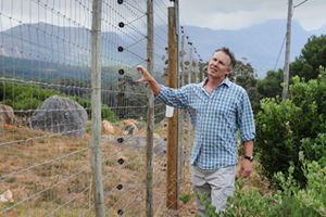 <b>Good neighbours:</b> Prof Justin O'Riain at a game fence erected around Zwaanswyk, on the border of the Tokai Forest, to prevent conflict between humans and their neighbours – wild animals such as the chacma baboon.