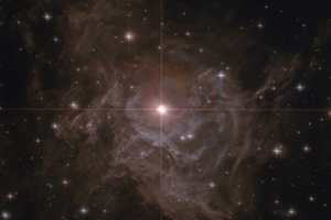This image, from NASA's Hubble Legacy Archive, is of Cepheid variable star RS Puppis - a star ten times larger than our sun and on average 15 000 times more luminous. It's about Cepheid stars, significant for their usefulness in estimating cosmic distance scale, that UCT astronomer Michael Feast has written in his latest Nature paper. Image processing by Stephen Byrne