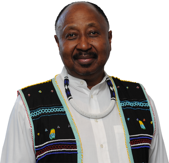 Professor Thandabantu Nhlapo.