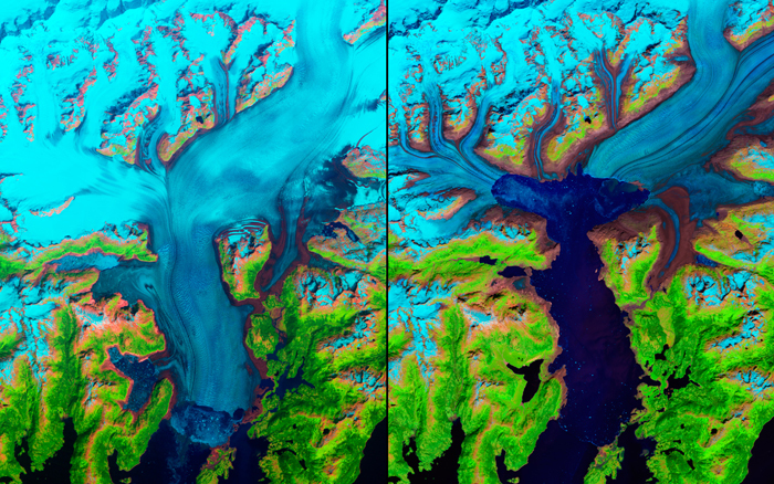 These false-colour images of Alaska's Columbia Glacier from 1986 (left) and 2011 (right) show its retreat of more than 20 kilometres. Since the 1980s, it's lost about half of its total thickness and volume. Snow and ice appears in bright cyan, vegetation is green, clouds are white or light orange, and the open ocean is dark blue. Exposed bedrock is brown, while rocky debris on the glacier's surface is gray.