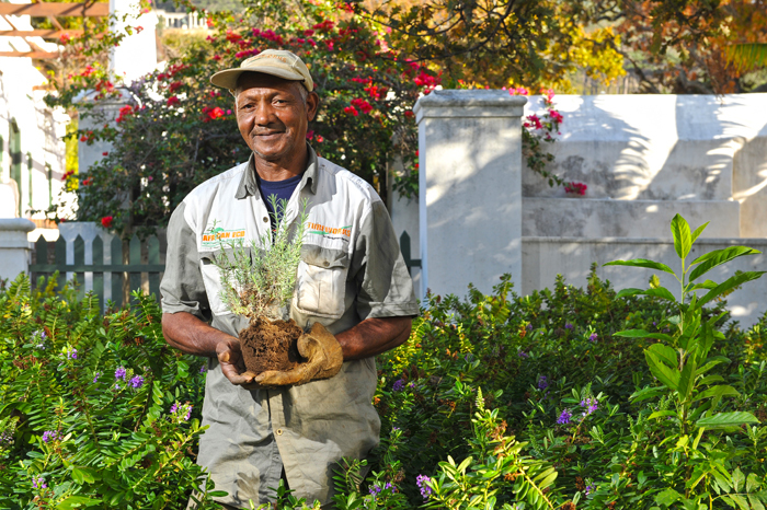 Ground work: Jonathan Fritz of the estates maintenance team has worked at UCT for over 30 years, an observer and participant in the landscape's metamorphosis.