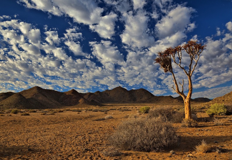 The /Ai/Ais-Richtersveld Transfrontier Park spans some of the most spectacular arid and desert mountain scenery in southern Africa.
