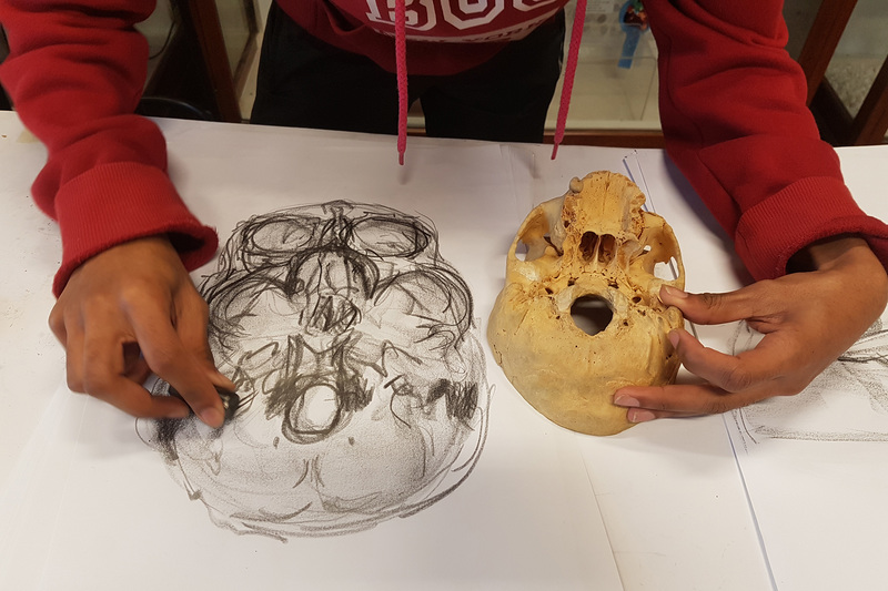 A student participating in the HVO&D course feels the base of the skull to gather sensory data, which is then reflected in marks on the paper.