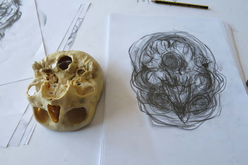 The haptico‐visual observation and drawing method, introduced to UCT’s Division of Clinical Anatomy and Biological Anthropology by Leonard Shapiro, applies scientific thinking and method to the field of observation in anatomy education.