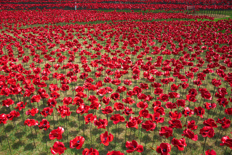 The remembrance poppy has been used since 1921 to commemorate those who died in World War l. Remembrance Day is marked annually on 11 November.