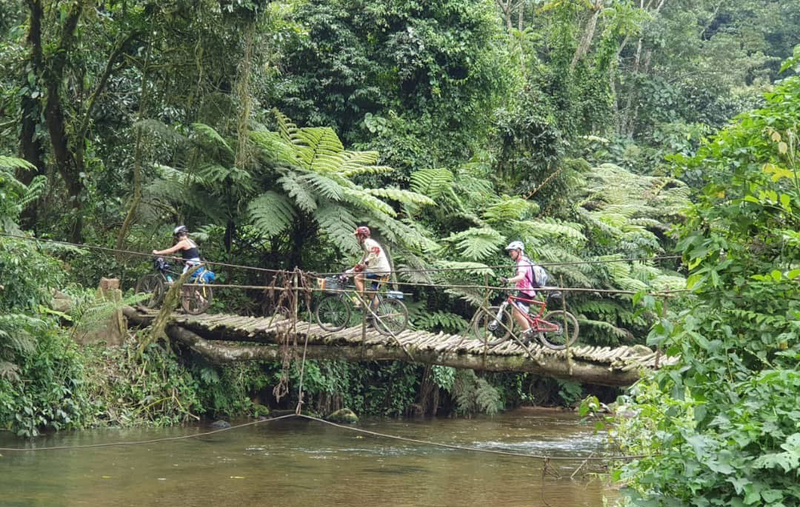 Crossing a suspension bridge into the Bwindi Impenetrable Forest in Uganda, home to many of the world’s remaining mountain gorillas.