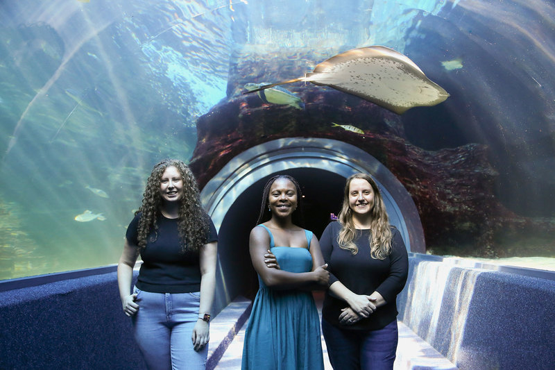 UCT’s trio of All-Atlantic Ocean Youth Ambassadors (from left) Kirstin Petzer, Thando Mazomba and Dr Marissa Brink-Hull, at the Two Oceans Aquarium.