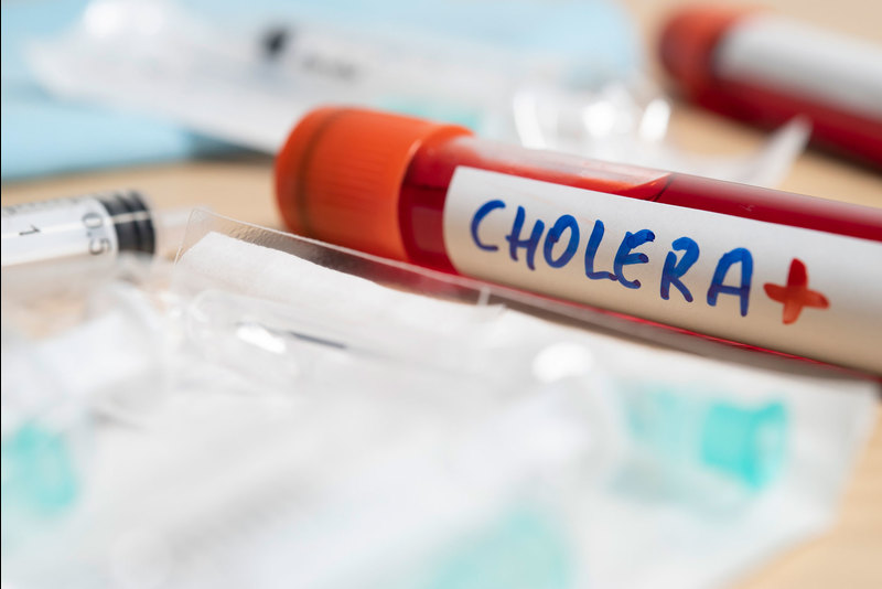 The most recent major cholera outbreak affected all nine provinces with 1 144 laboratory-confirmed cases and 64 deaths recorded between November 2008 and April 2009.