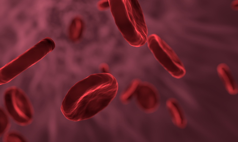The UCT GSB is on a mission to increase the pool of blood stem cell donors in the country.