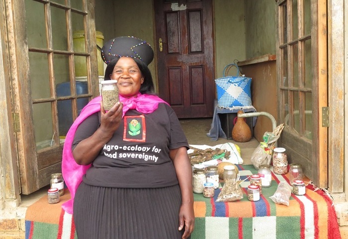 Ntombithini Ndwandwe, an agroecology farmer displaying her diversity of traditional seeds in Zimele, KwaZulu-Natal.