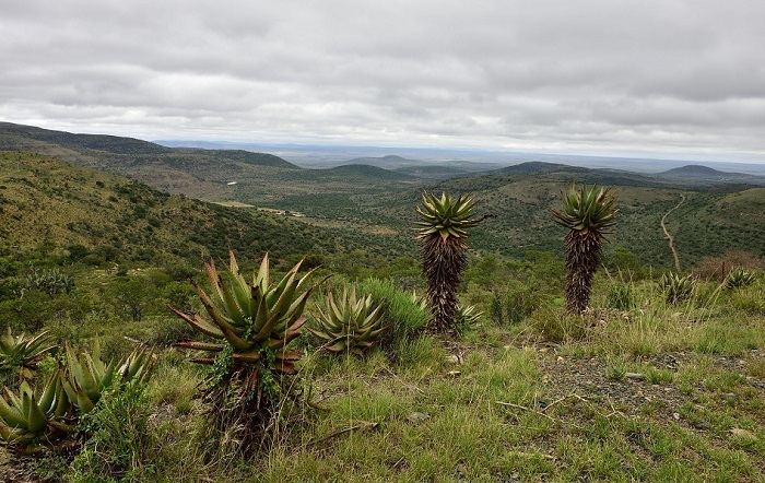 South Africa’s Karoo region, in the south west of the country, is thought to have significant reserves of shale gas.