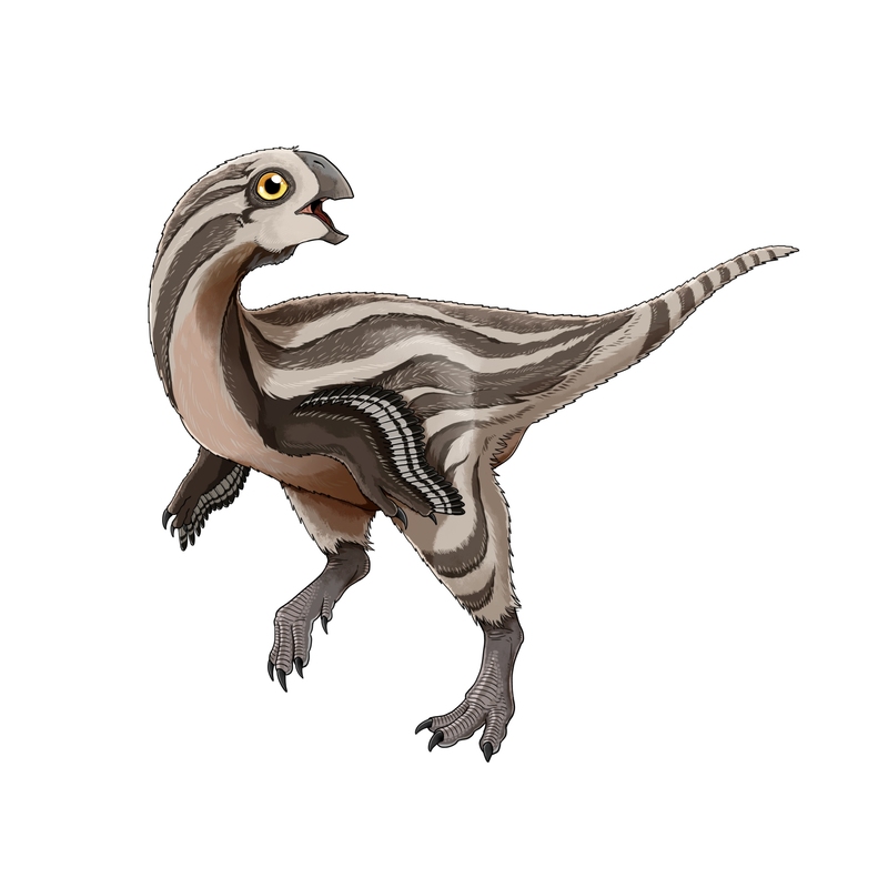 An artist’s reconstruction of the new dinosaur, Gobiraptor minutus.