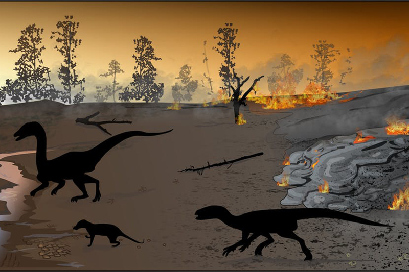 Reconstruction of the ancient environment at the Highlands trace fossil site about 183 million years ago. 
