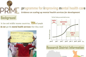 Prime Mental Health Care Programme