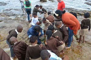 Grade two learners and volunteers from SHAWCO and the UCT Underwater Club at the Save Our Seas Shark Centre in Kalk Bay