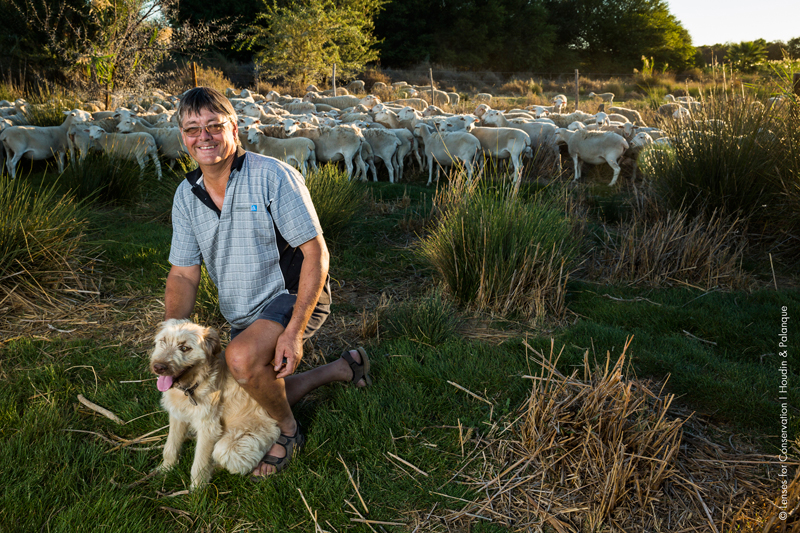 A Karoo sheep farmer in the Laingsburg Municipality District, Central Karoo, poses with his sheep and his livestock guarding dog.