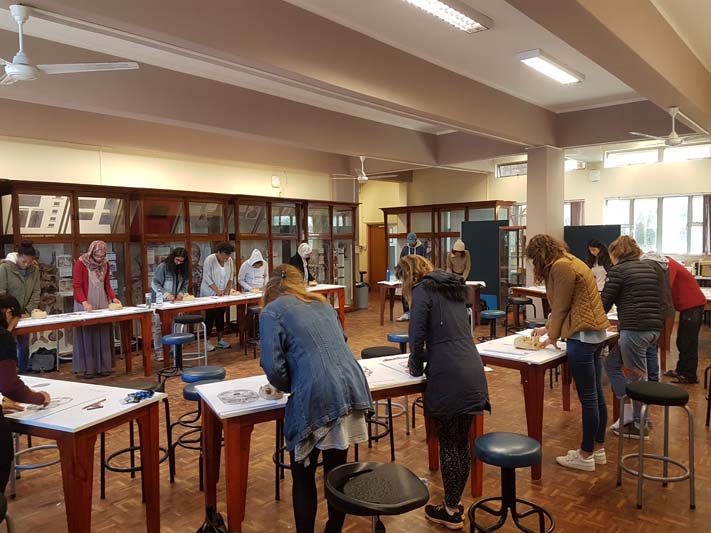 A class of UCT medical students learning to observe the anatomy using touch and drawing.
