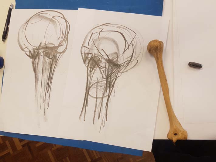 Touch, sight and marks on paper were used to explore and understand the form and detail of the humerus.