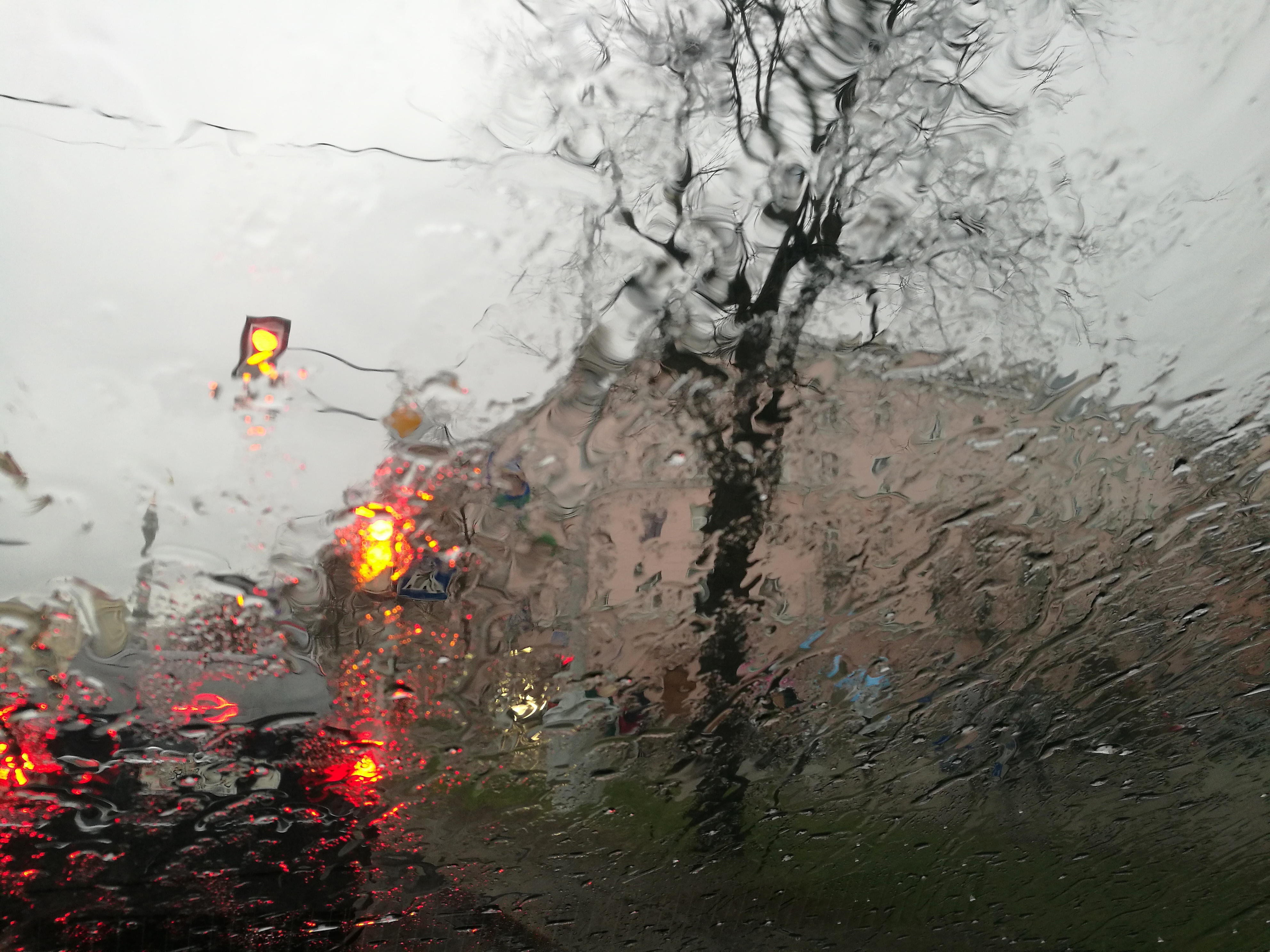 Will there be more rain this winter? UCT News