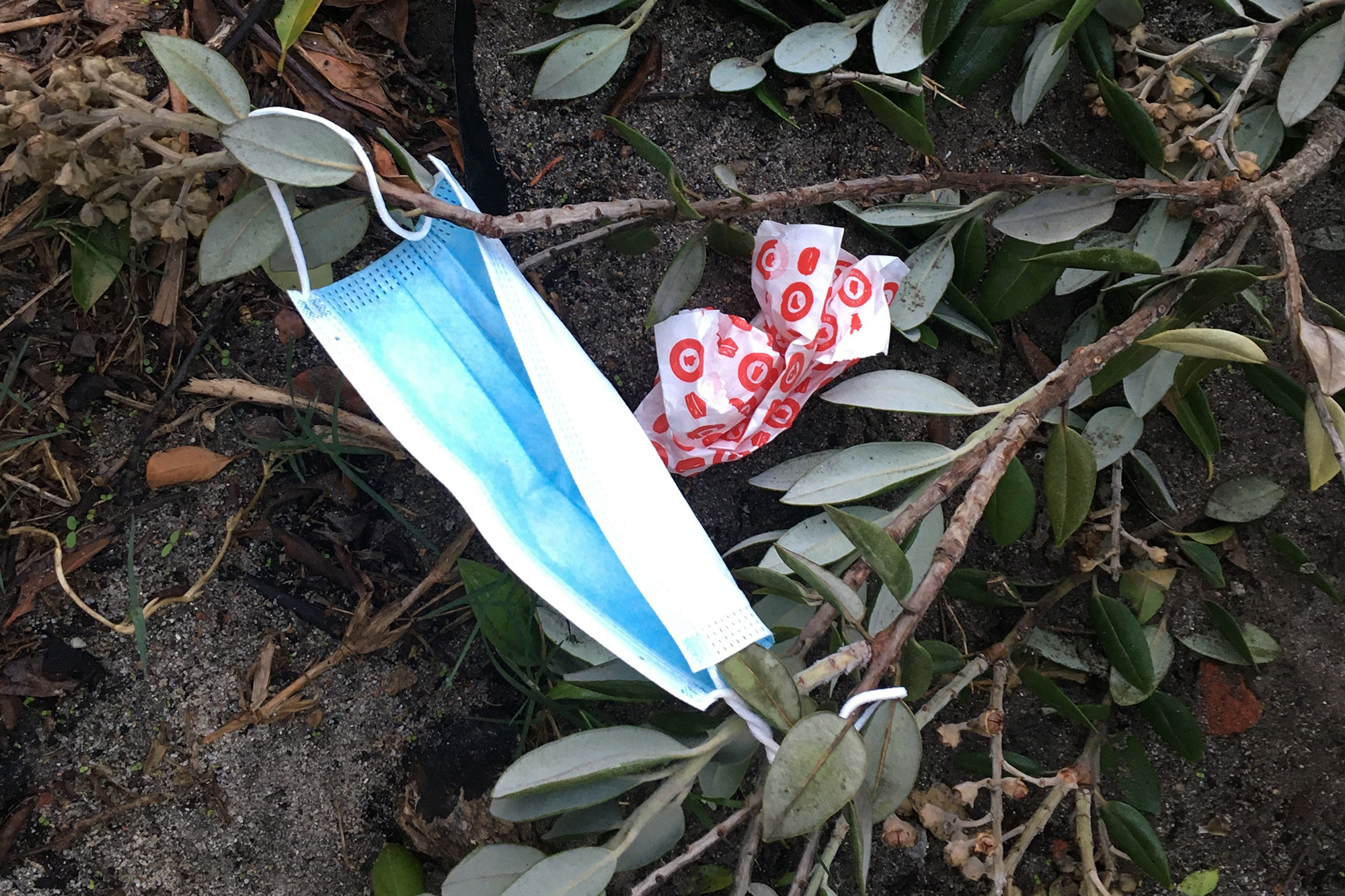 Help reduce the impact of disposable face masks on the environment