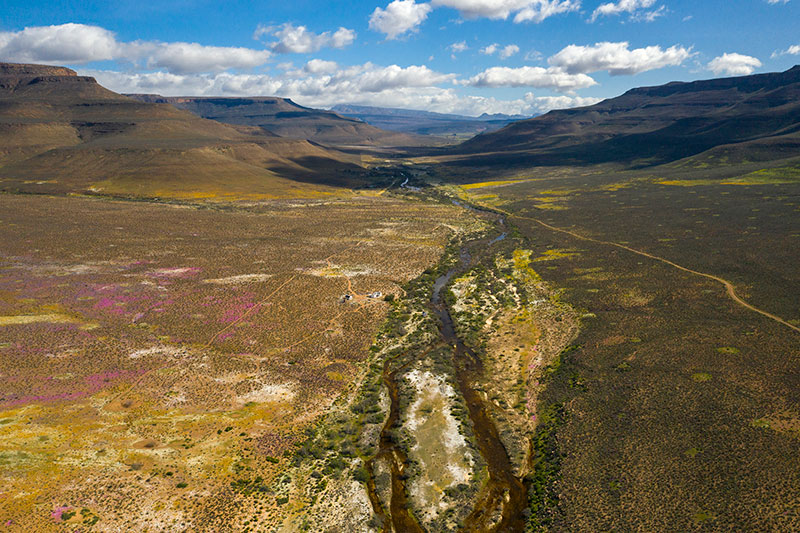 The Biedouw River valley in spring when the sandfish undertake their annual spawning migration 