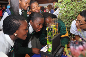 Fancy that: Open day at UCT on 13 April was attended by hundreds of prospective students from around the country. Many gathered in the Jameson Hall for the Faculty of Science's hands-on displays and exhibitions.