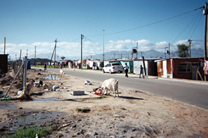 The urban environment, at neighbourhood or community scale, has been recognised by international research to shape illness, health and well-being. The Healthy Cities for Children project of the Children's Institute involves a multi-disciplinary research team which focuses on the well-being of children in diverse urban settings in South Africa.