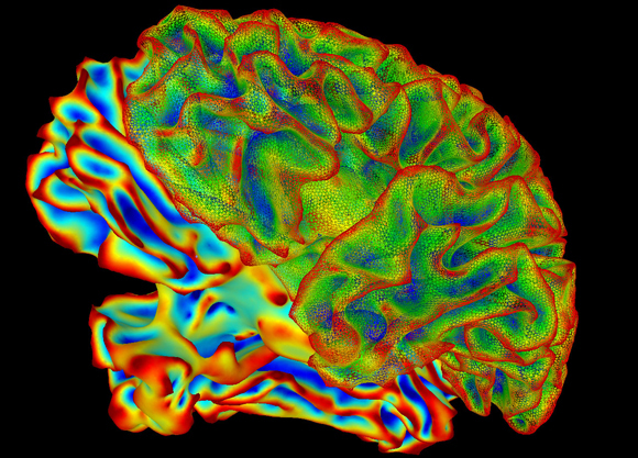 A visualisation of the brain by the SUMA software programme.