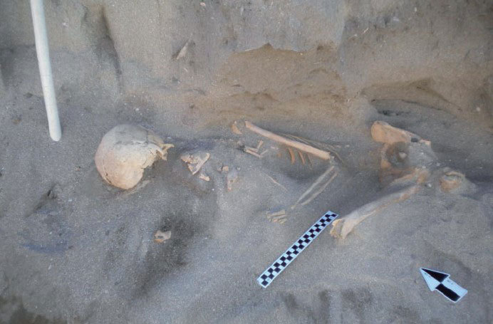 The skeleton found at St Helena Bay in 2010 by Andrew Smith. (Photo by Chris Bennett Photography.) 