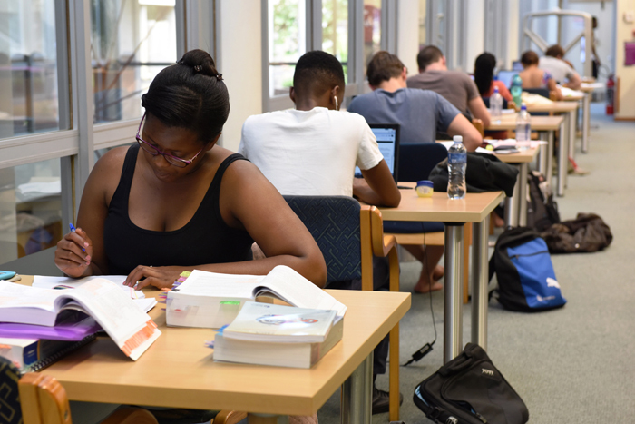 Students hard at work studying. Photo by Michael Hammond.