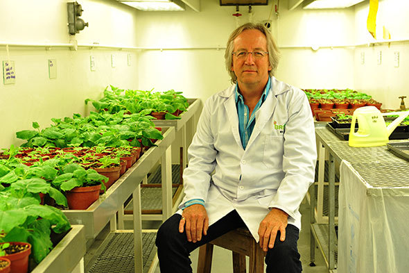 Professor Edward Rybicki. (Photo by Mike Hammond.)