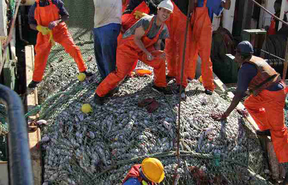 Namibia's hake fishermen. <b>Photo</b> John Paterson.