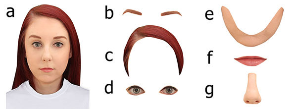 Face identikit software reviews Face identikit software reviews