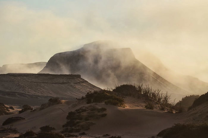 Fog in the early morning in the lower Huab Valley on the Skeleton Coast, Namibia, one of the dustiest places on earth.