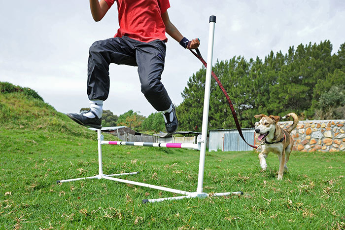 The <b>Underdog Project</b> addresses the social and emotional needs of youths and children using non-invasive animal-assisted activities, like training rescued dogs. The idea is to instil humane education in youths and their community, promoting responsible animal care and non-violence. The training that these shelter dogs receive also reduces kennel stress, prepares them for their new homes and accelerates their adoption. 