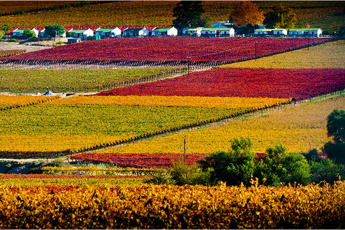 De Doorns settlement in Cape Winelands District Municipality in the Western Cape province of South Africa.