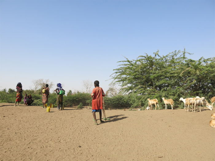 In semi-arid areas, climate information that is tailored to farmers? needs can reduce their vulnerability to climate change. Lucia Scodanibbio.