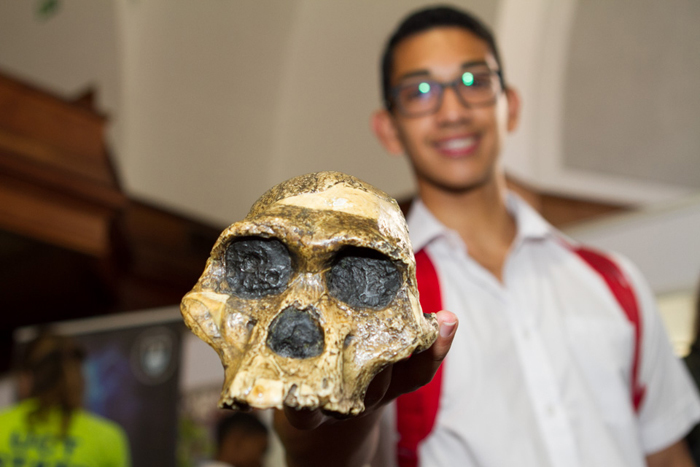 Headline act: Science is fun, especially when ancient skulls are involved, as this Open Day visitor seemed to confirm.