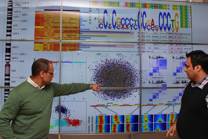 Professor Kevin Naidoo and Dr Jahanshah Ashkani analysing genomic data on a video wall in the Scientific Computing Research Unit Informatics and Visualisation Laboratory.