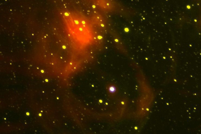 A multi-wavelength image of the field around LMC P3. The red shows radio emissions (from the Australia Telescope Compact Array), yellow shows optical (from the Southern Astrophysical Research Telescope) and blue shows X-ray (from the Chandra x-ray observatory). LMC P3 is the bright white star in the centre of the supernova remnant. Photo: Laura Chomiuk, Michigan State University, USA.