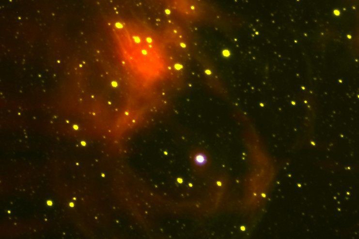A multi-wavelength image of the field around LMC P3. The red shows radio emissions (from the Australia Telescope Compact Array), yellow shows optical (from the Southern Astrophysical Research Telescope) and blue shows X-ray (from the Chandra x-ray observatory). LMC P3 is the bright white star in the centre of the supernova remnant. Photo: Laura Chomiuk, Michigan State University, USA.