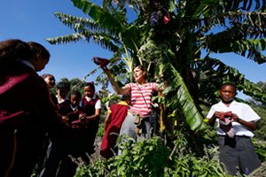 How is UCT helping to grow professionals with a social conscience? Through initiatives like the Knowledge Co-op, students can connect their research with community needs. It was through the co-op that the UCT chapter of Engineers Without Borders teamed up with NGO SEED to launch an organic gardening project in Mitchells Plain. Known to the public as the Rocklands Urban Abundance Centre, the project stems from SEED's vision that whole communities can be transformed through growing a culture of outdoor learning at schools.