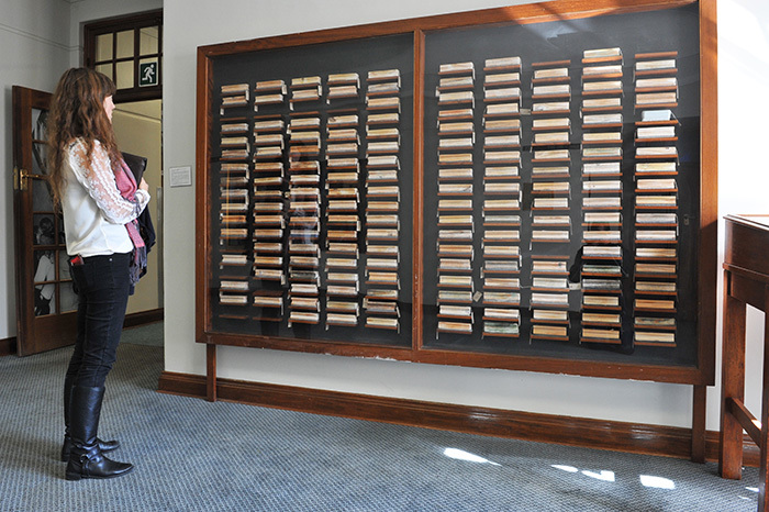 This display of 175 chalkboard dusters gathered from classrooms across the university's campuses, and tagged with details of their venue of origin, is meant to stand for the 175 years between the founding of the South African College – the school that would eventually become UCT – in 1829, and the date of their collection in 2004. These dusty objects – collected by Pippa Skotnes, Fritha Langerman and Gwen van Embden as part of a project to curate the university, and culminating in the exhibition Curiosity CLXXV – prompt questions about the core of the university project: knowledge.