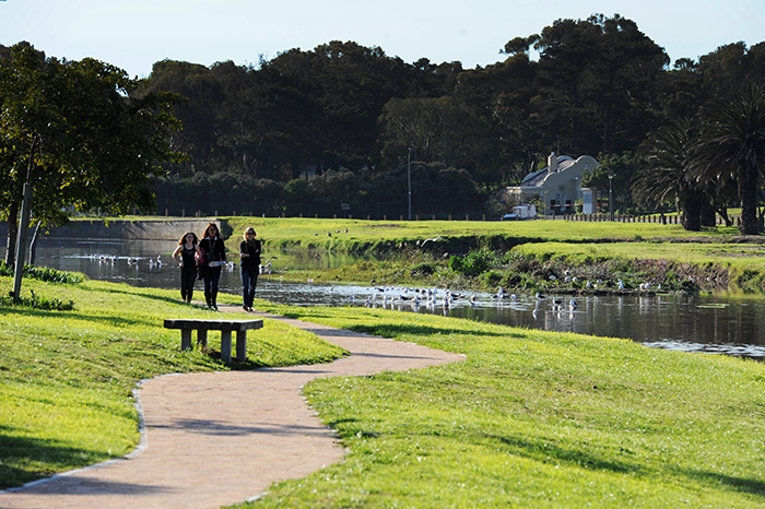 The Liesbeek River plan looks to provide new knowledge and designs for the Liesbeek River to improve its ecological conditions and boost its value as a social space for people who live and work close to its banks. Photo&nbsp;by&nbsp;Michael&nbsp;Hammond.