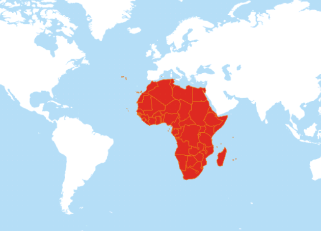 Africa has a higher death rate among critically ill COVID-19 patients than anywhere else according to recently published data.