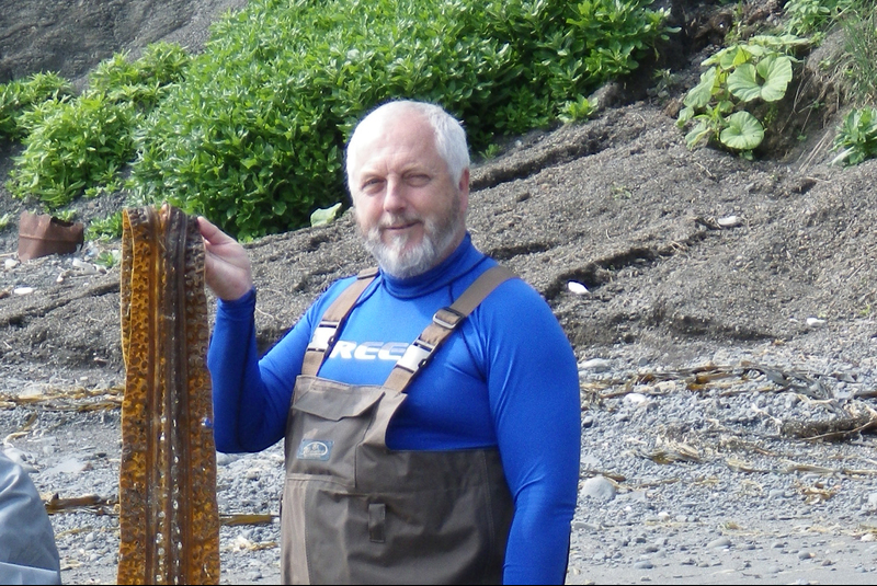 Marine botanist and phycologist Prof John Bolton is one of three UCT marine scientists who were honoured by the South African Network for Coastal and Oceanic Research. He was photographed in Japan on a kelp-collecting exercise. Photo Lydiane Mattio.