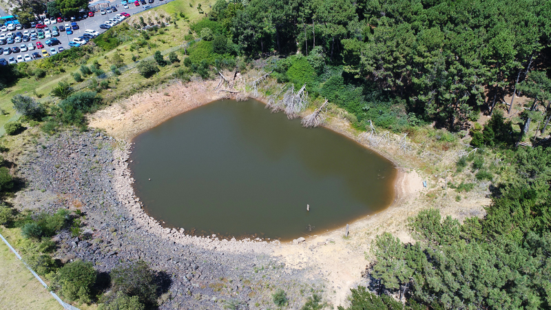 The water-storage capacity of the dam on UCT’s upper campus has been improved by removing the vegetation that was obstructing the flow of storm water into the dam.